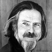 ���� ����